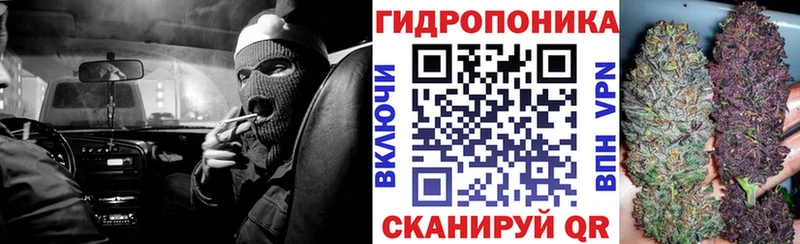Купить где  Красноуральск  Конопля AK-47 